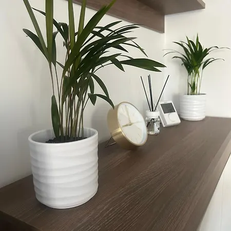 Apartment Tsm Coresi Brasov