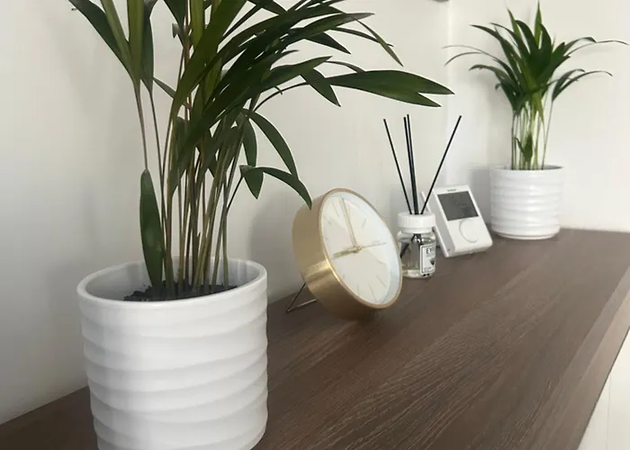 Lejlighed Tsm Coresi Braşov